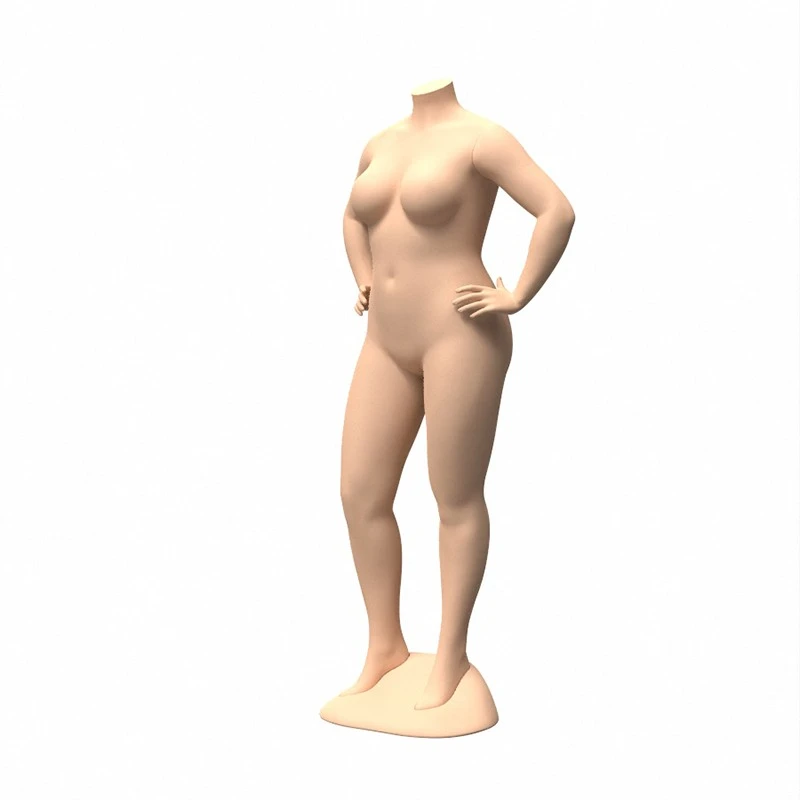 17 (3)